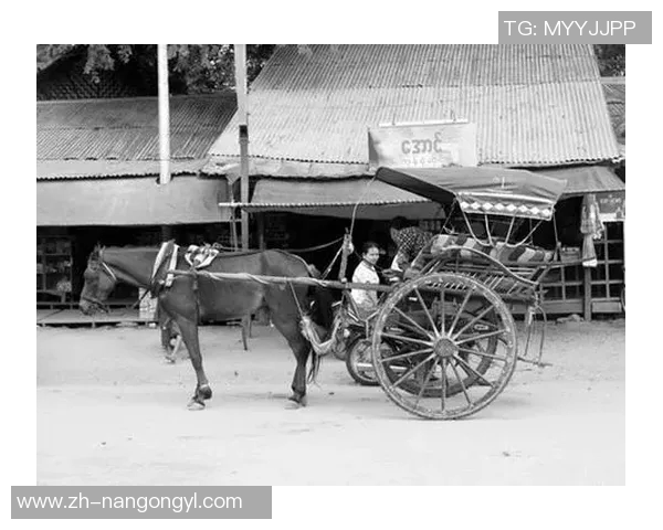 马车与现代交通工具的对比分析及其在历史文化中的重要性探讨